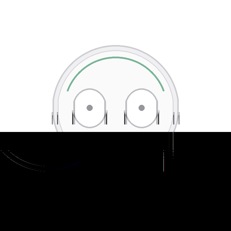 Wireless Bluetooth Earbuds