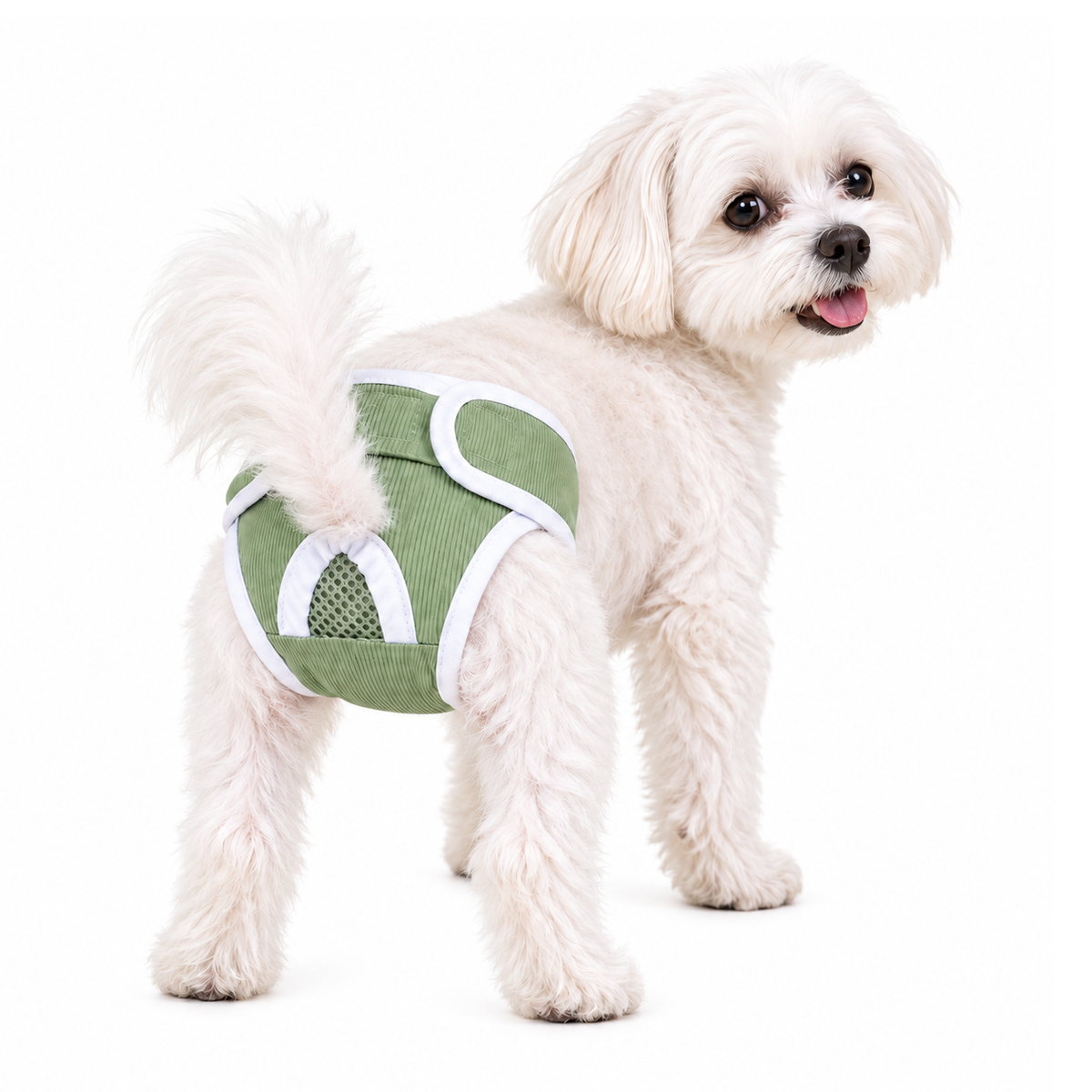 Dog Sanitary Pants