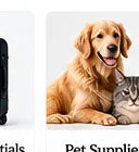 Travel Essentials